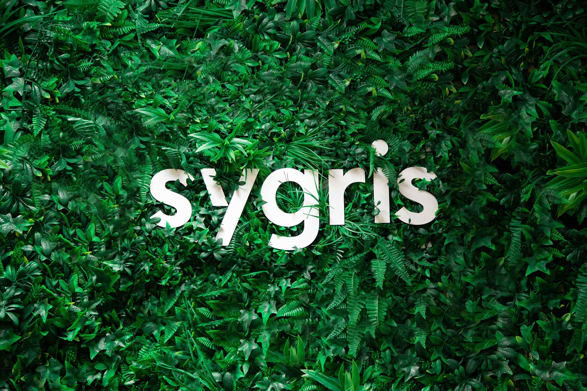 sygris-logo-2021-oficina-2